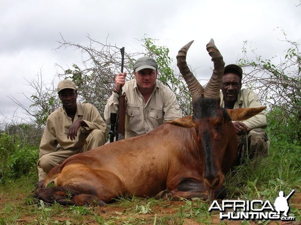 Hunting Red Hartebeest in Namibia