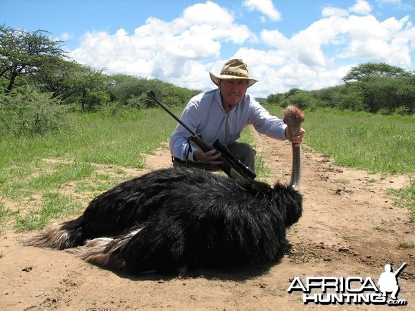 Hunting Ostrich in Namibia