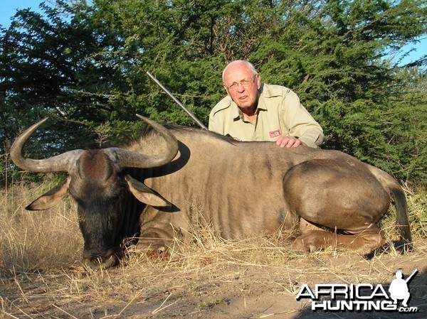 Hunting Wildebeest in Namibia