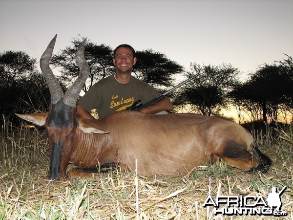 Hunting Hartebeest in Namibia