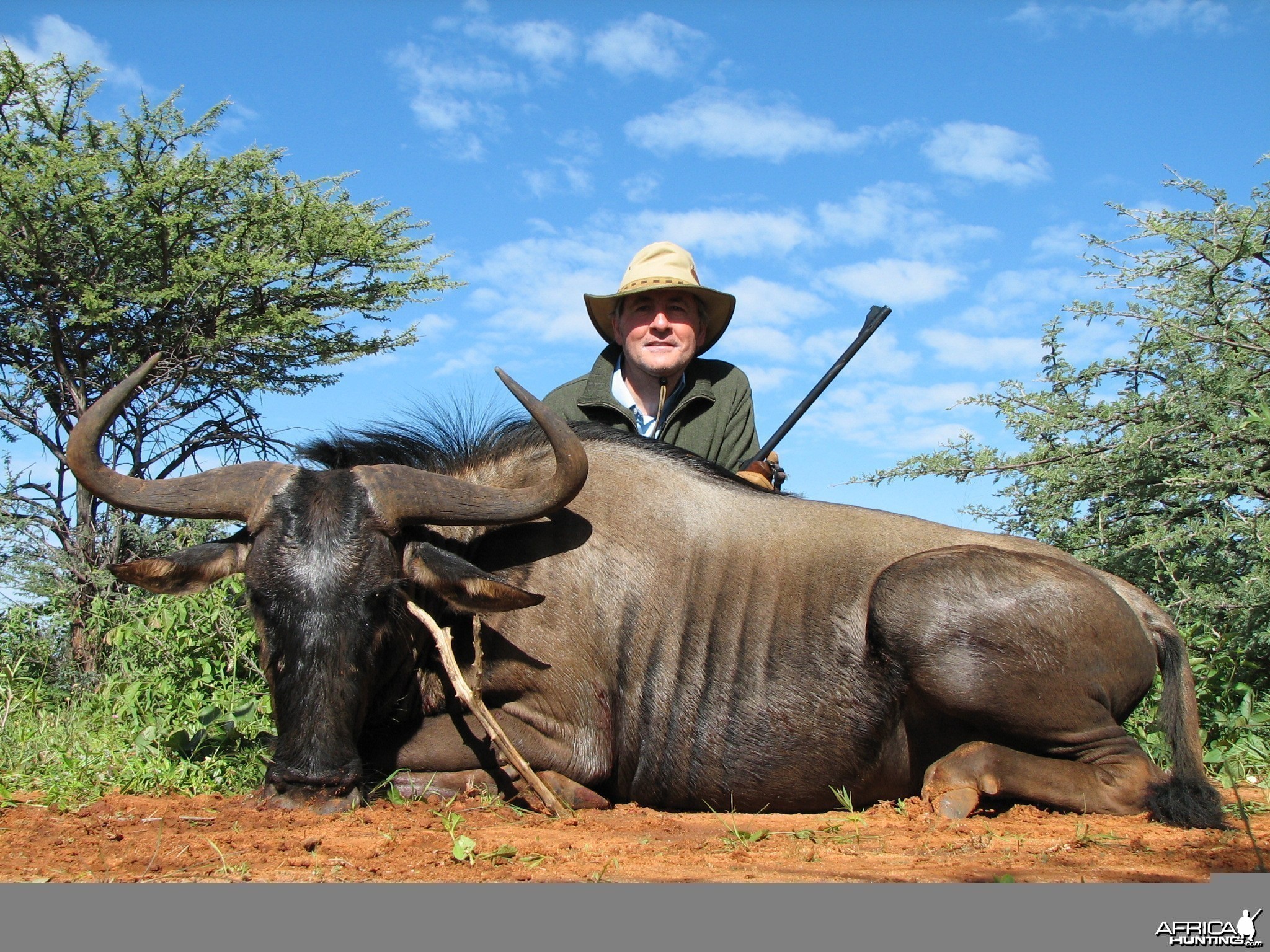 Hunting Blue Wildebeest in Namibia