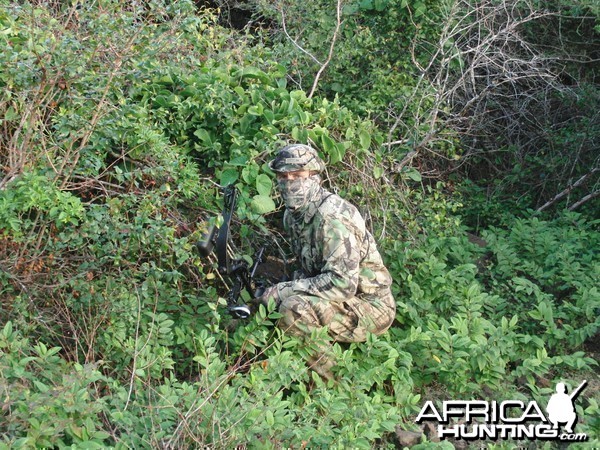 On the stalk in Mauritius with Le Chasseur Mauricien