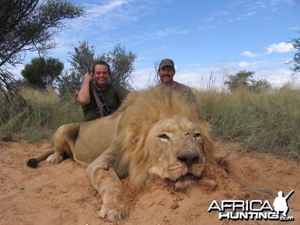 Hunting Lion in South Africa