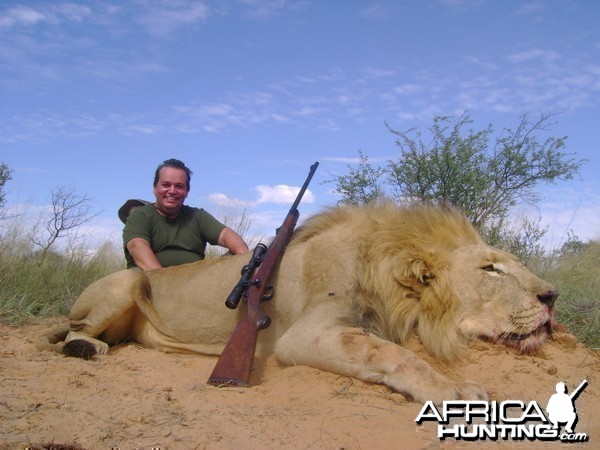 Hunting Lion in South Africa