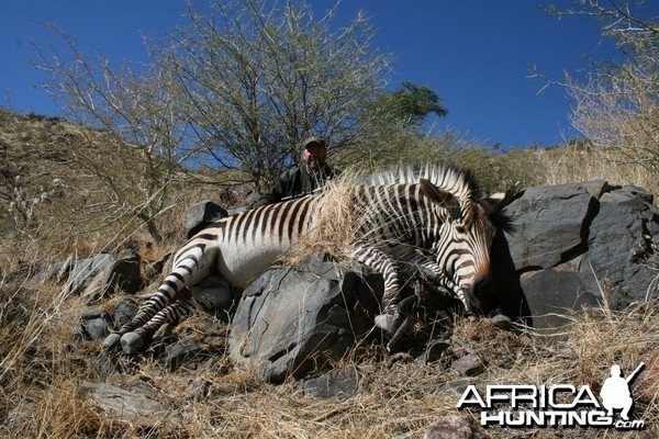 Hartmann's Mountain Zebra hunt in Namibia