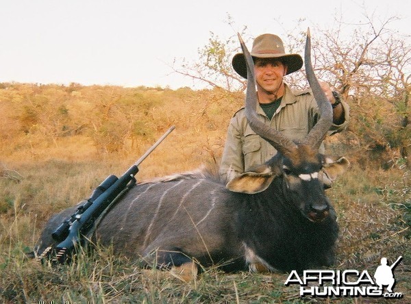 Nyala hunt in South Africa