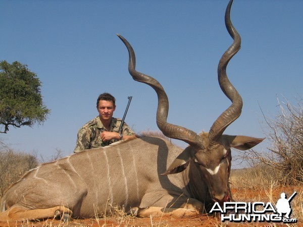 59 inch Southern Greater Kudu