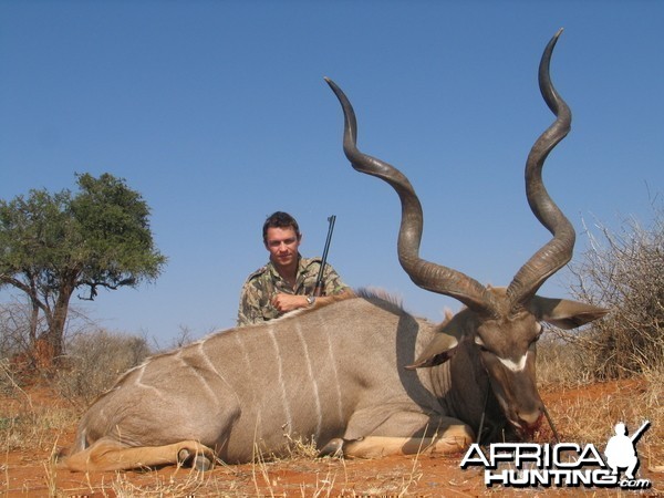 59inch Southern Greater Kudu