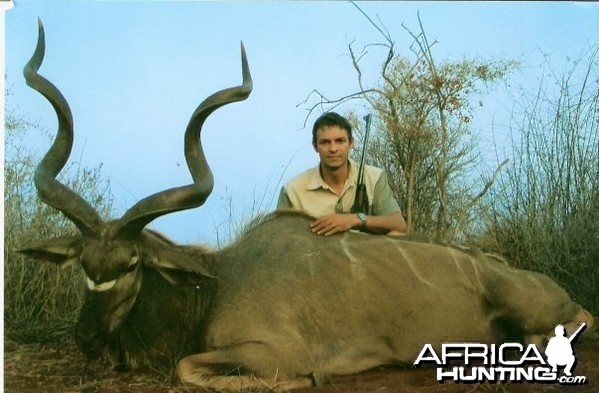 56 inch Southern Greater Kudu