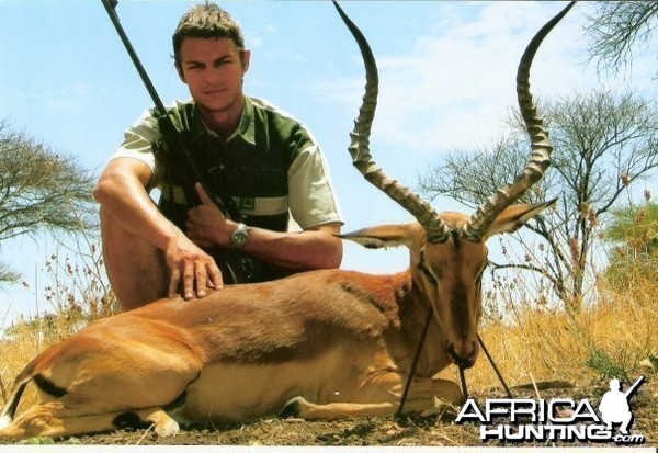 26.25 inch Impala Limpopo