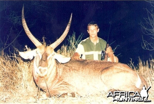 28.5 inch Common Waterbuck