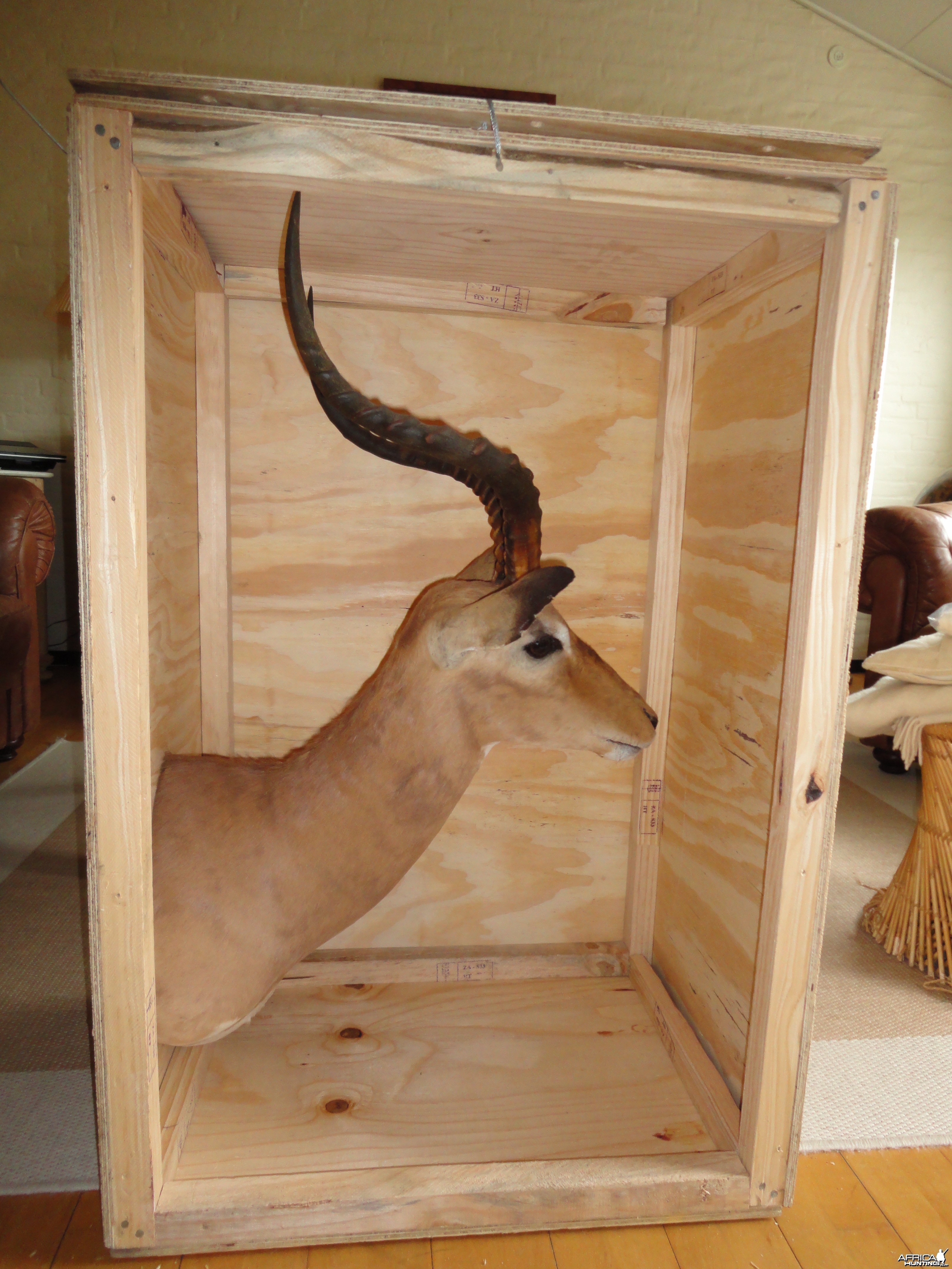 Impala mount crate