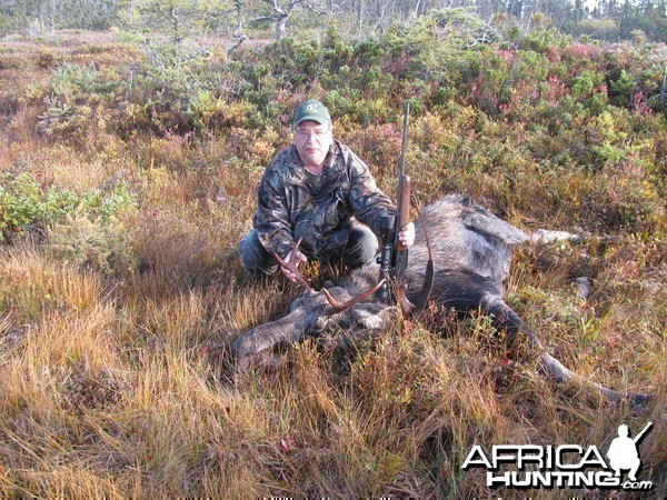 Moose chops..mmmm...yummy! Newfoundland, Canada