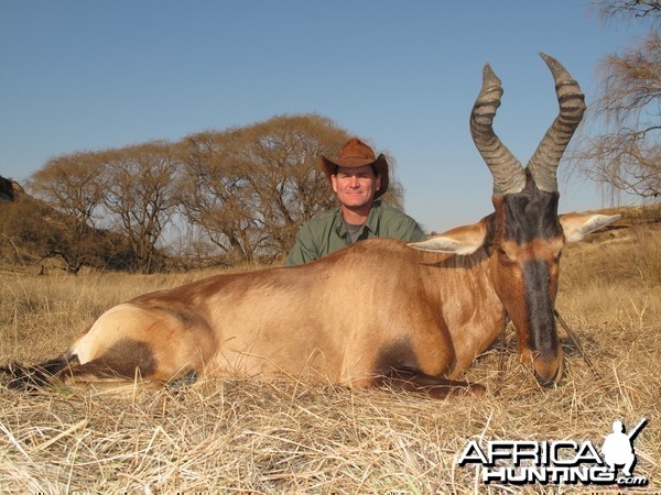 Red hartebeest, Hunting with Clients