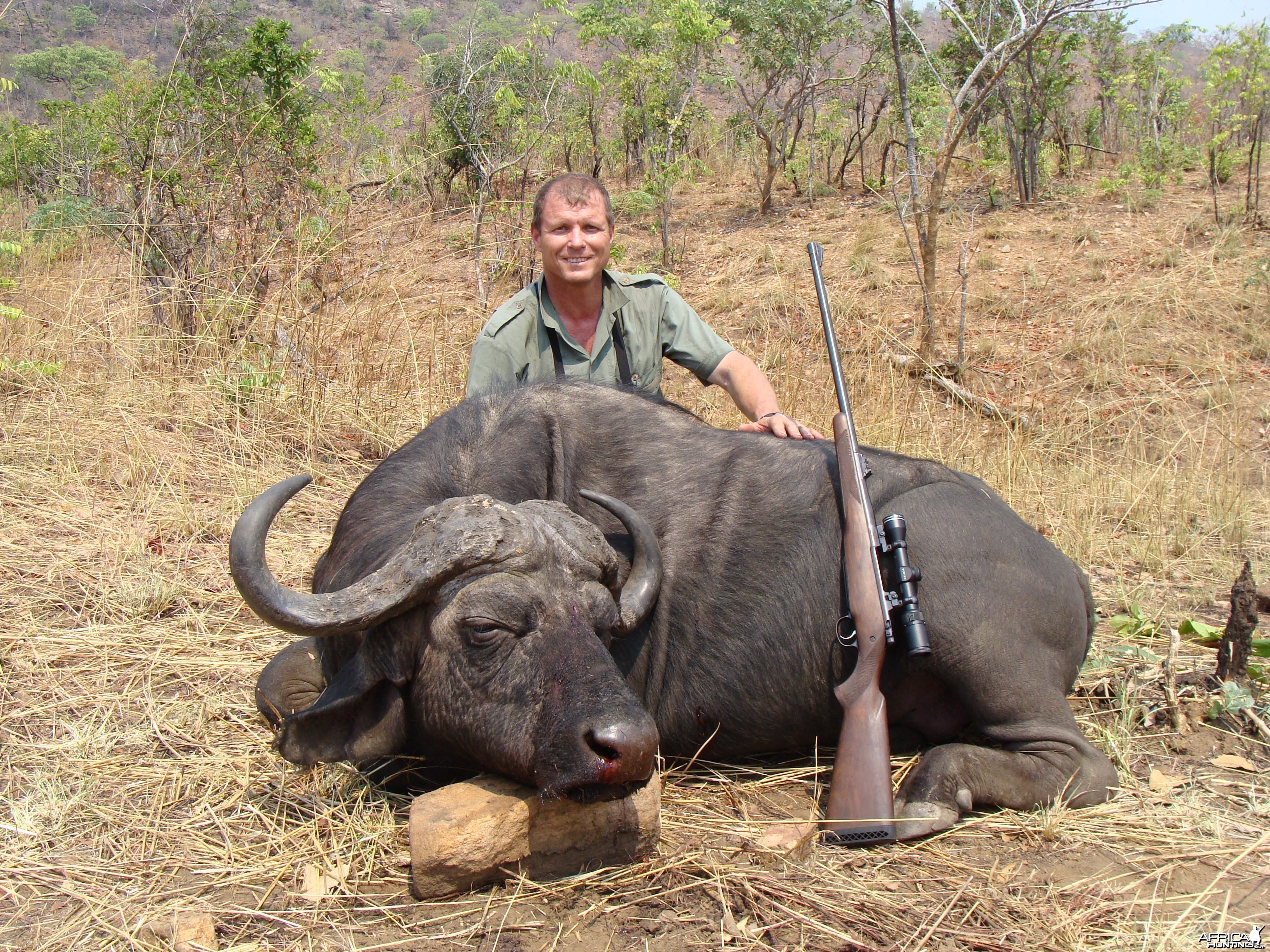 Buffalo