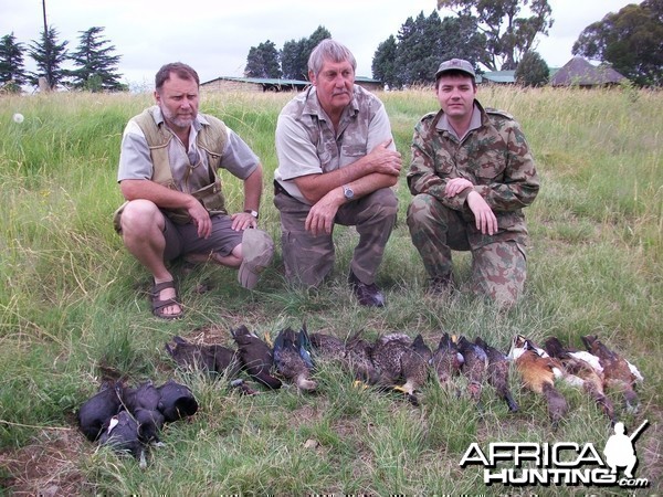 Bird Hunting with Clients