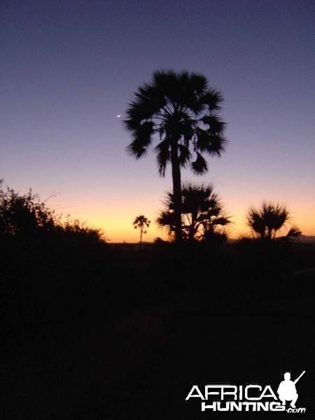 Palmwag Sunset