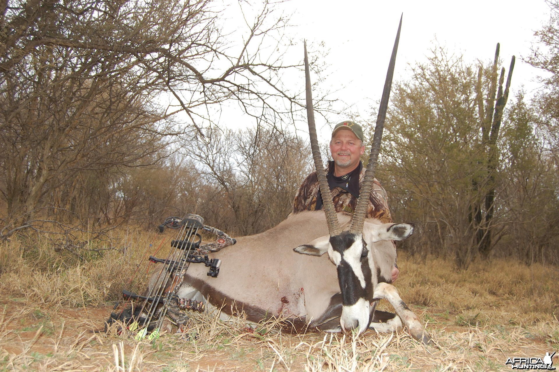 42&quot; female Oryx hunted in South Africa