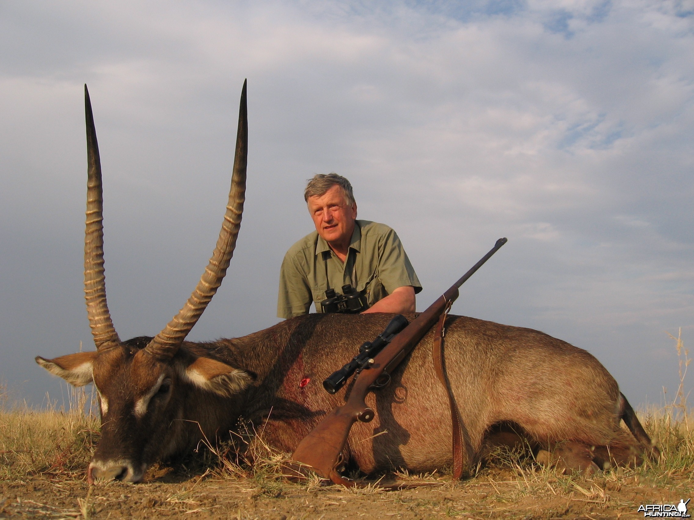 32 inch Waterbuck