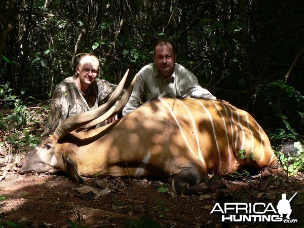 Hunting Bongo in Central African Republic