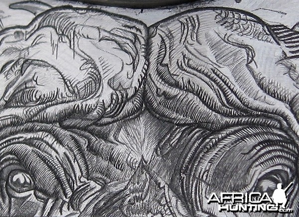 Cape Buffalo Engraving on Double Rifle