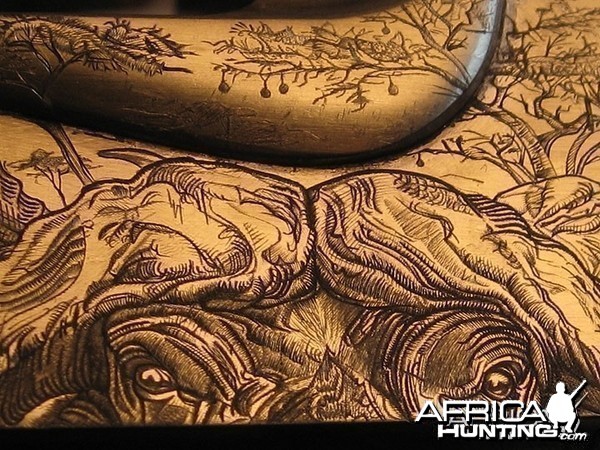 Cape Buffalo Engraving on Double Rifle