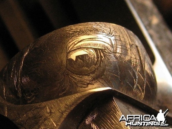 Cape Buffalo Engraving on Double Rifle