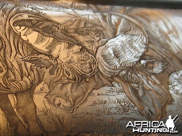 Cape Buffalo Engraving on Double Rifle