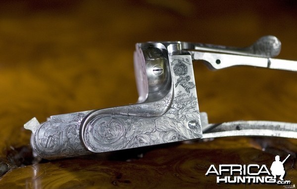 Cape Buffalo Engraving on Double Rifle