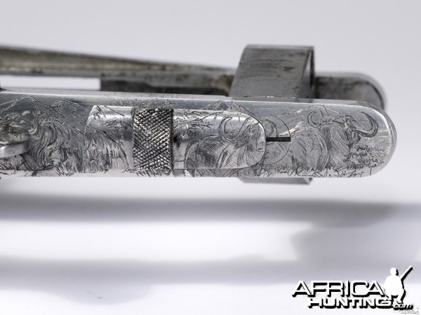 Cape Buffalo Engraving on Double Rifle