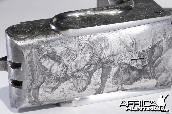 Cape Buffalo Engraving on Double Rifle