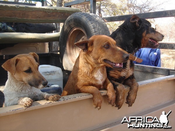 The boys in the pickup...