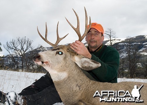 Wyoming mule deer hunt