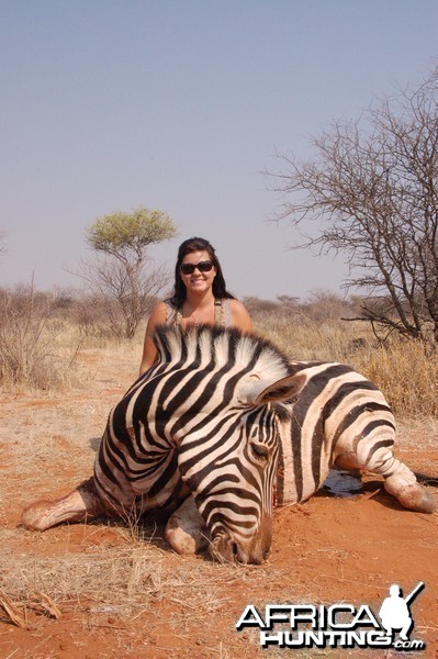 Burchell's Zebra hunted in Namibia