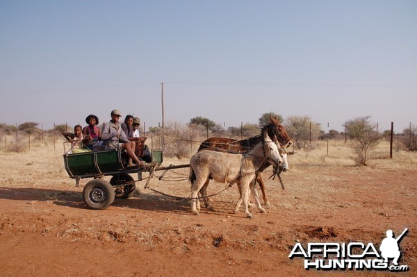 African Travel