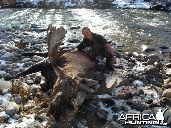 Hunting Moose and Grizzly in Alaska