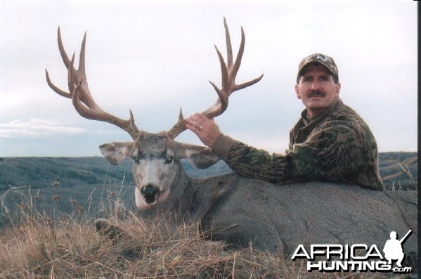 Mule Deer Hunt Alberta Canada