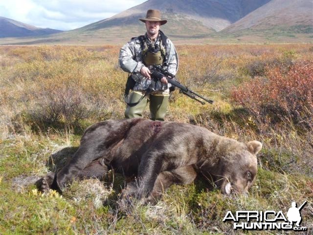 9 foot 2 Brown Bear hunt in SW Alaska with a 27 and 7/16 inch skull