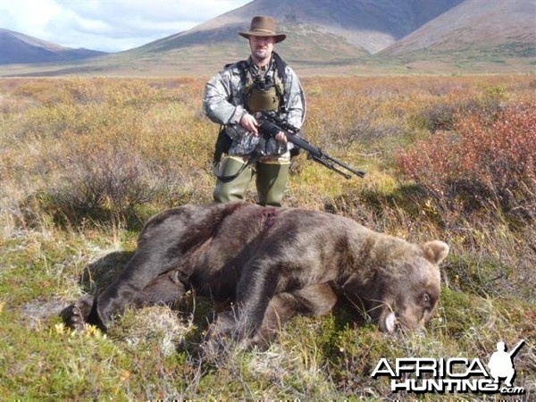 9 foot 2 Brown Bear hunt in SW Alaska with a 27 and 7/16 inch skull