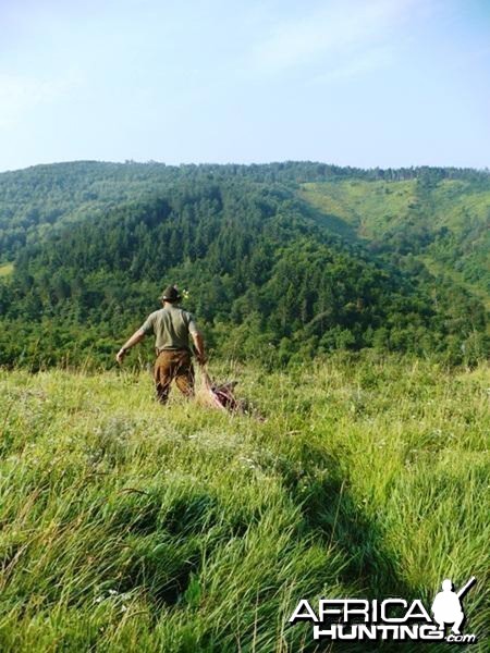 Hunting Boar in Hungary