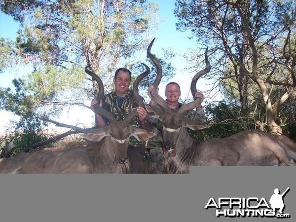 Two Eastern Cape Kudu 1 min apart