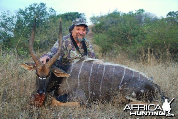 My first Nyala