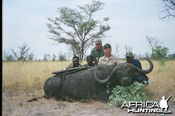 Cape Buffalo hunt Zimbabwe