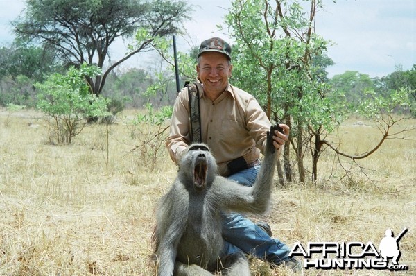 Hunting Baboon