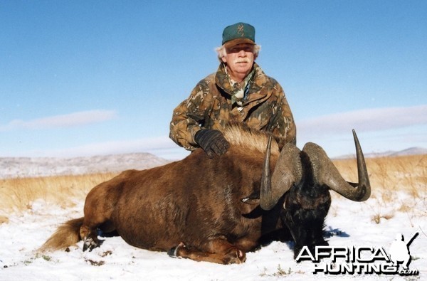 Black Wildebeest taken in the snow in July South Africa