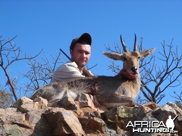 Mountain Reedbuck hunt