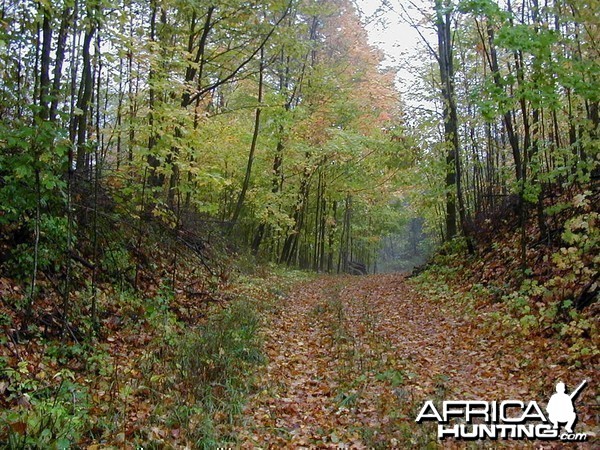 Tis the season, fall is upon us here in Wisconsin