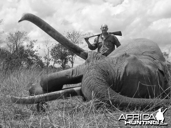 Hunting Elephant in Tanzania