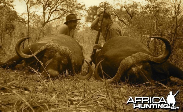 Hunting Buffalo in Tanzania