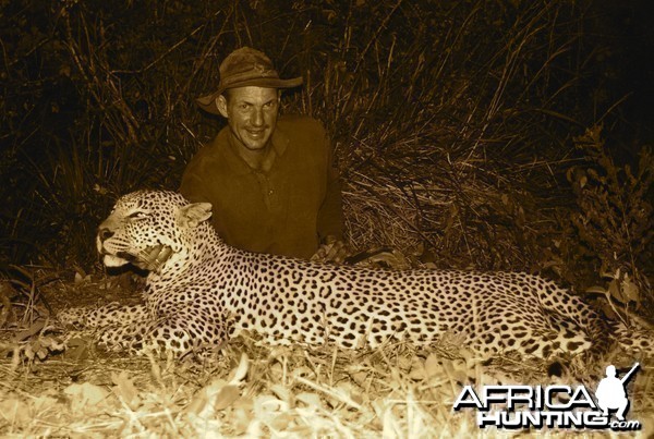 Hunting Leopard in Tanzania